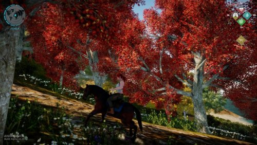 ��Animallica�����İ�