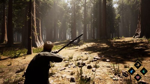 ��Wilderness�����İ�