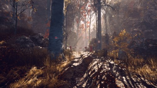 ����һ�������������İ�