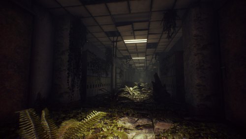 ��������ʲô�����İ�