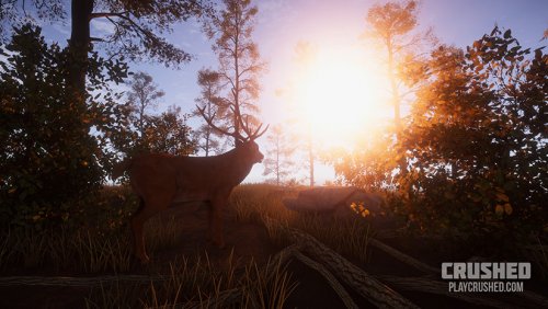 ��Crushed�����İ�