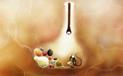 ��ֲ�ﾫ�顷�����ⰲװ��