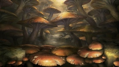 ��֮�������İ�