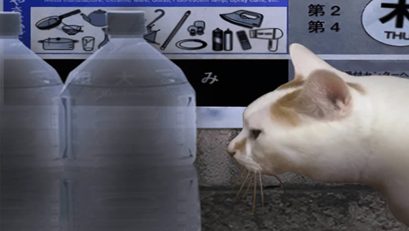 ���յ�����Ϸ����