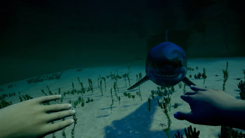 �ҵĺ���������Ϸ����