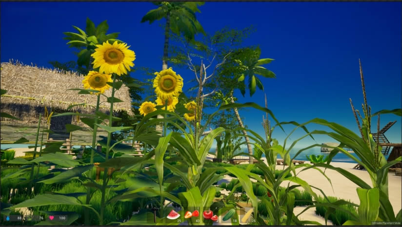 �ҵĺ���������Ϸ����