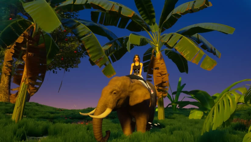 �ҵĺ���������Ϸ����