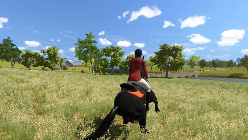 �ҵ�СС�����ھ�����