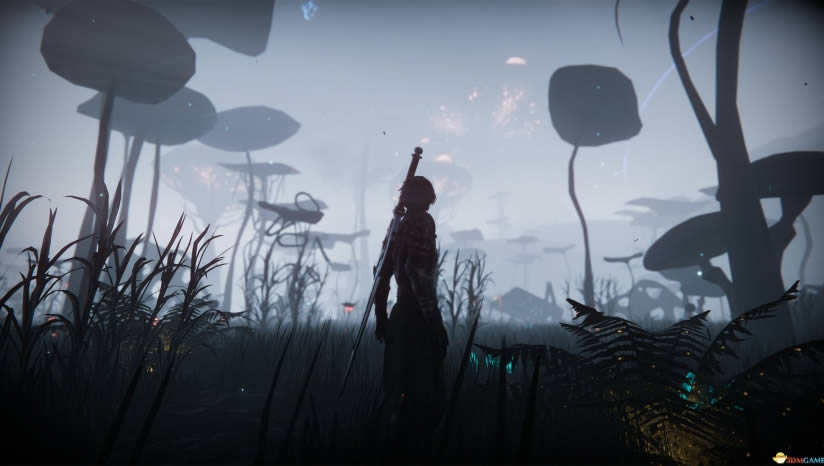 �����Ե���İ�