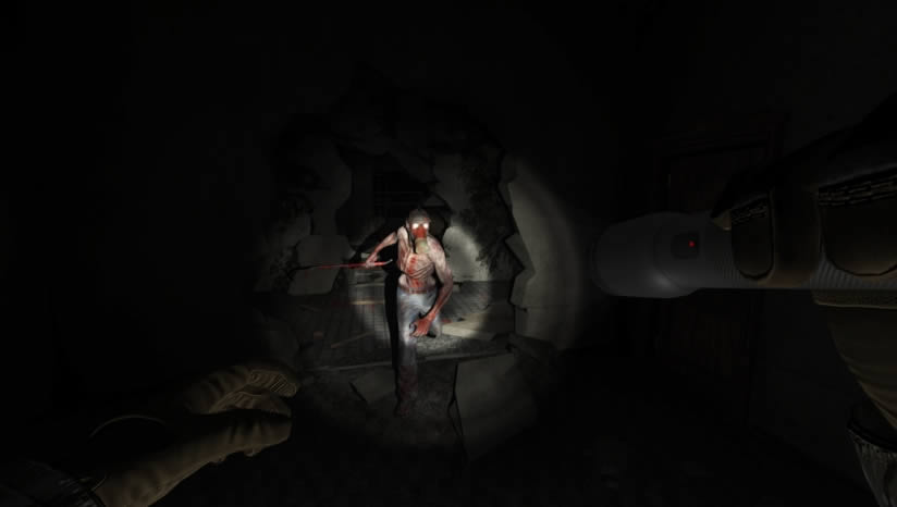 ����ɭ���ռ���������