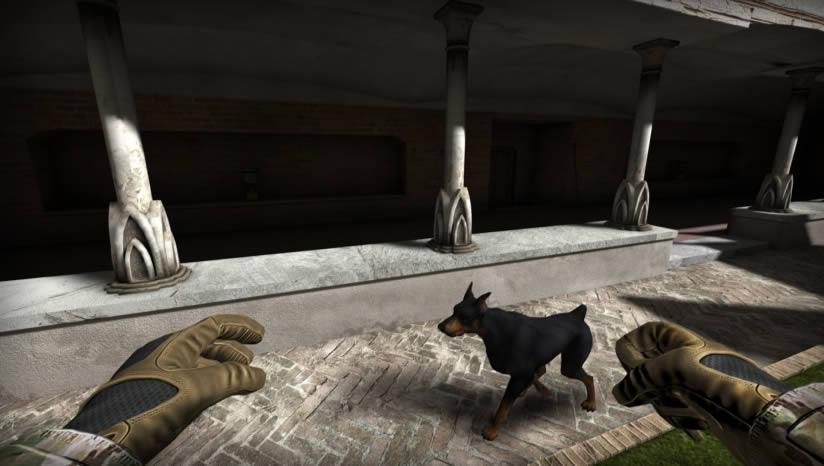 ����ɭ���ռ���������