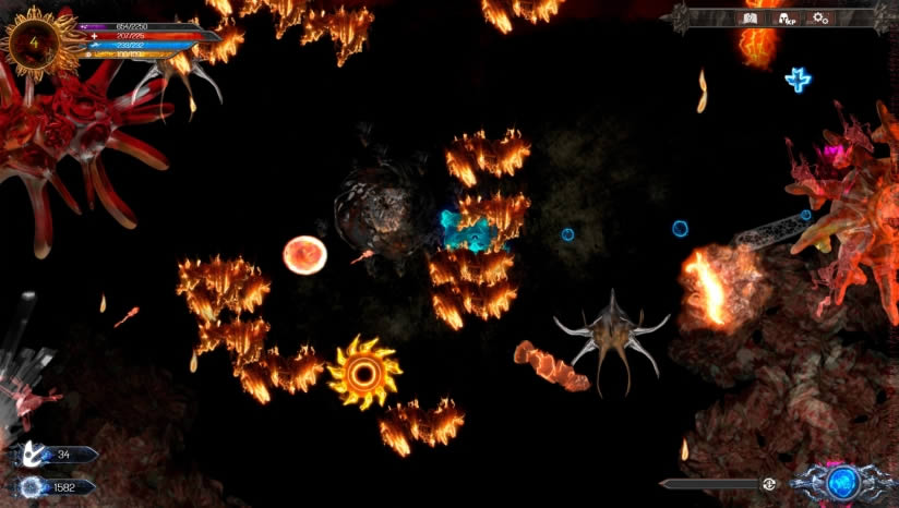 Chaordic����