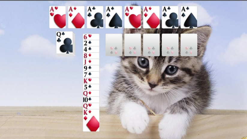 �ٱ��˿���2019����