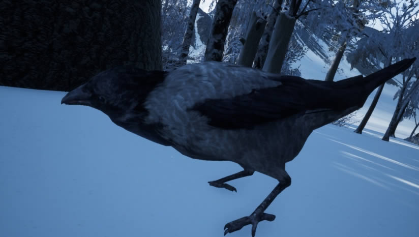 ͽ������ģ����2018����