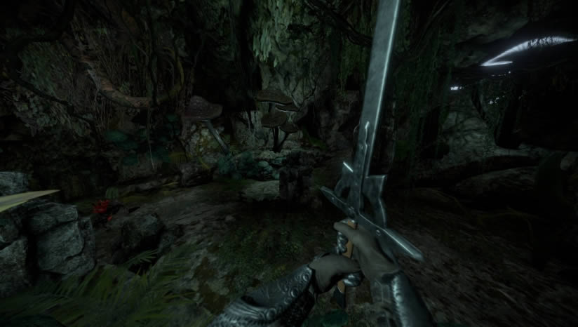 ������Ⱥ��������Ϸ����