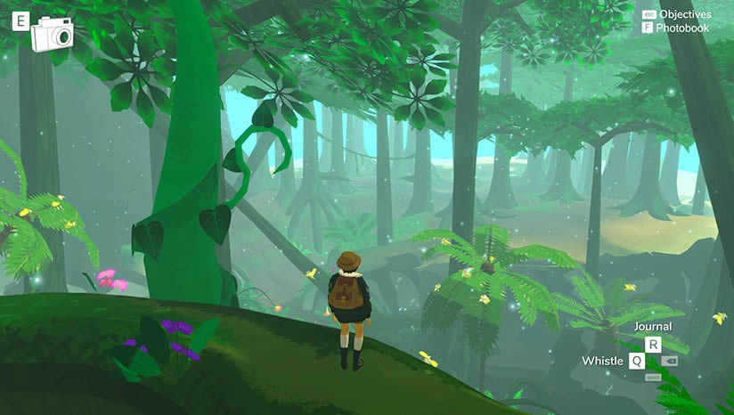 ����ά�������������޵�����Ϸ����