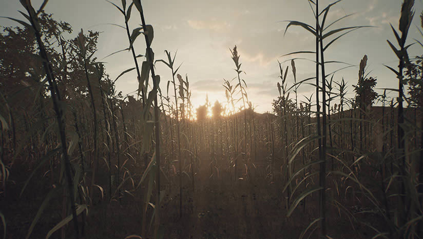 �޹ؽ�ֵ�����Ϸ����