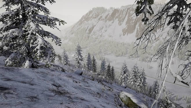 ����к󱱼�ӥ�ж�����