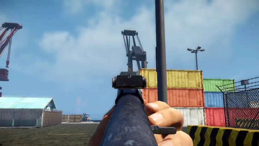 Brazilian Root����