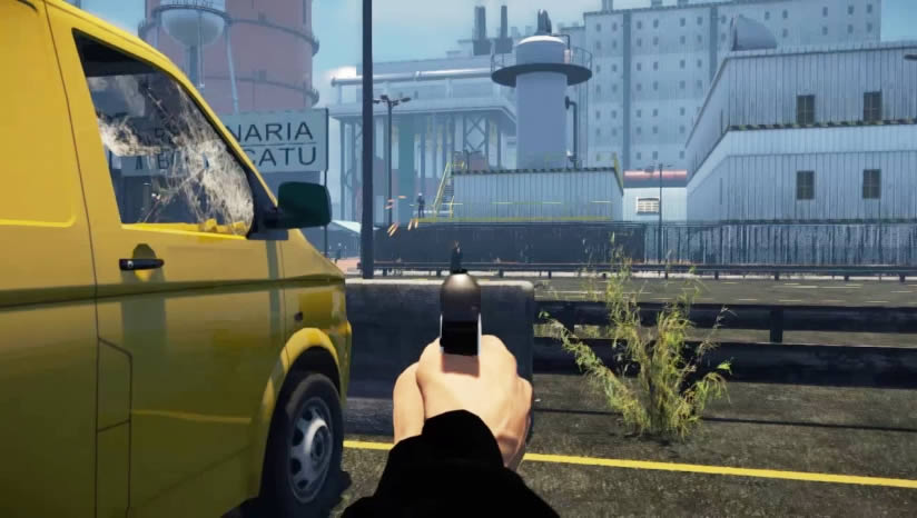 Brazilian Root����