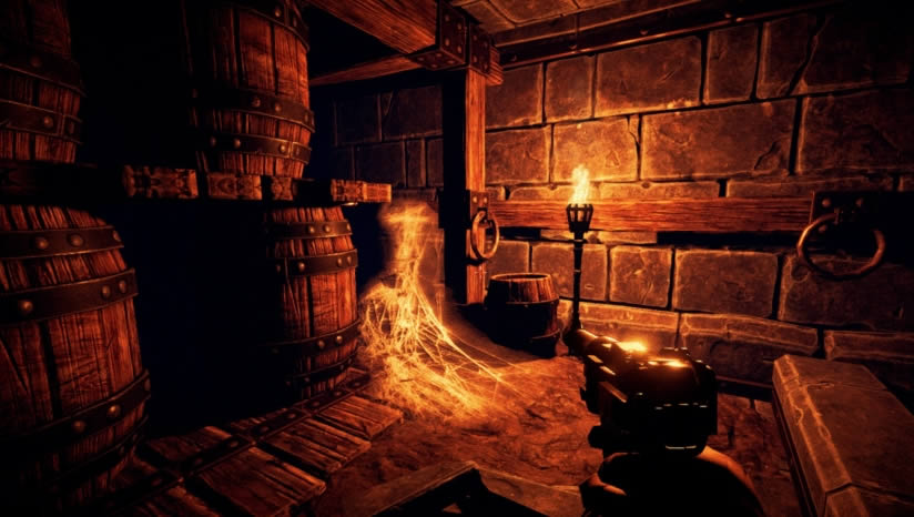 ǹ�͹�������