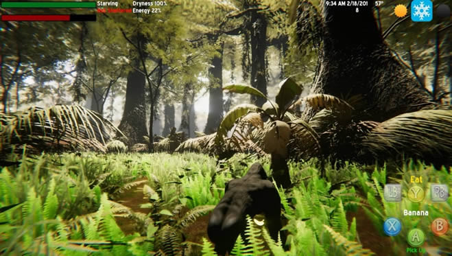 �¶��Ĵ���������