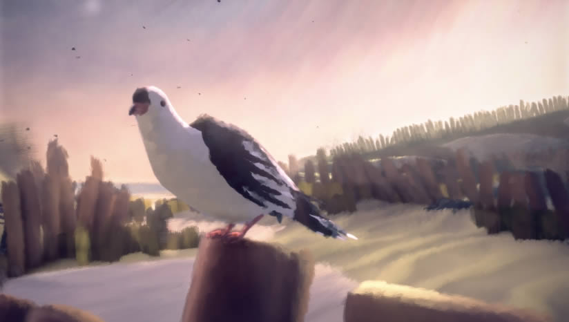 11-11������������