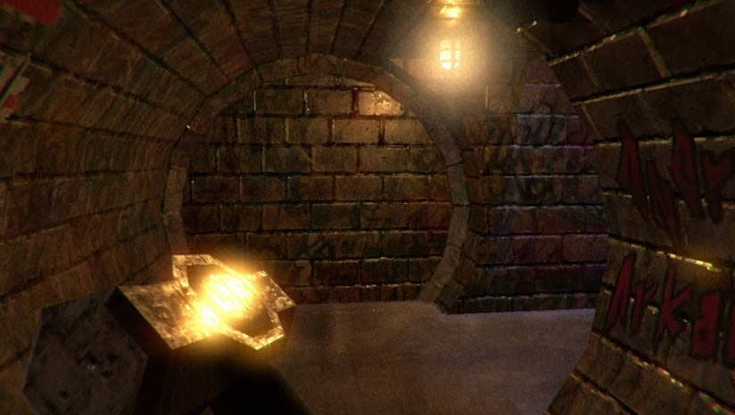 Lost in Vivo����