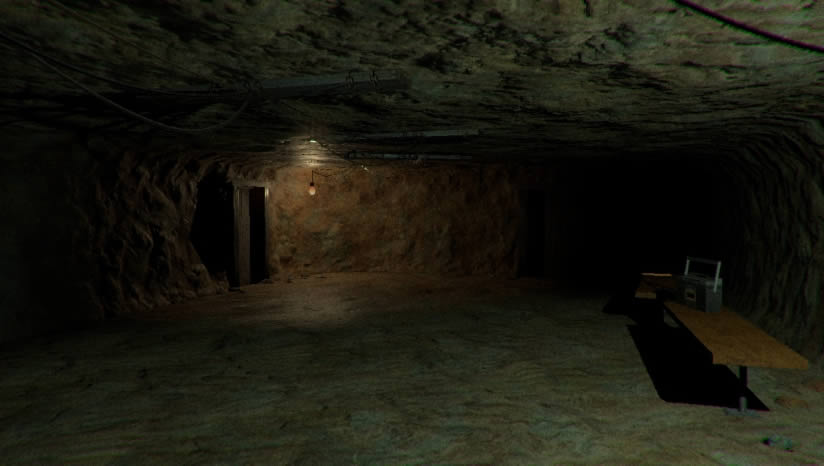 Lost in Vivo����