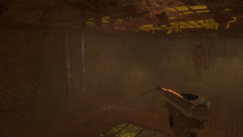 Lost in Vivo����