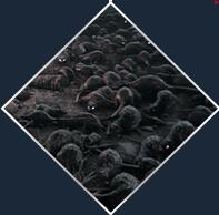 ���ߴ�˵������