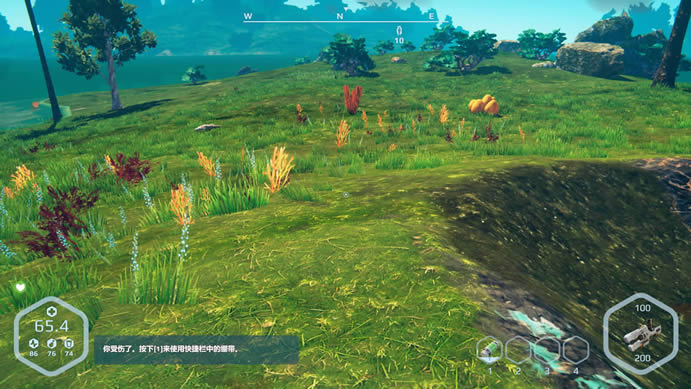 ��Ұ�������İ�