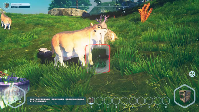 ��Ұ�������İ�