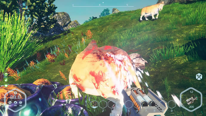 ��Ұ�������İ�