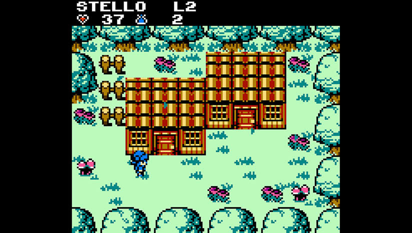 ��Ԩ��ʿ����