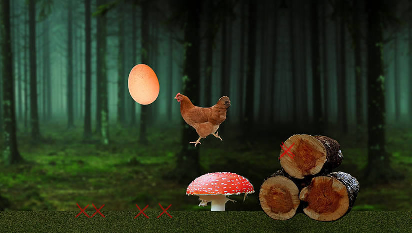 ������Ҳ������