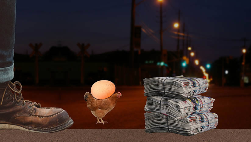 ������Ҳ������