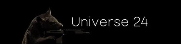 ����24����