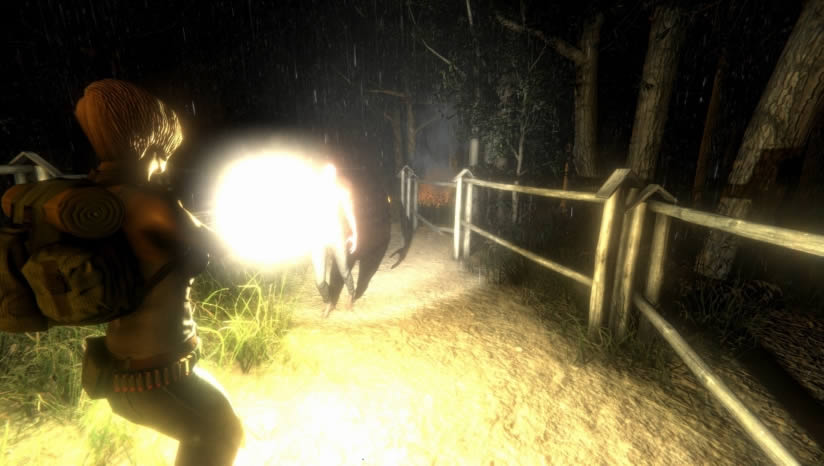 ����������ϣ������