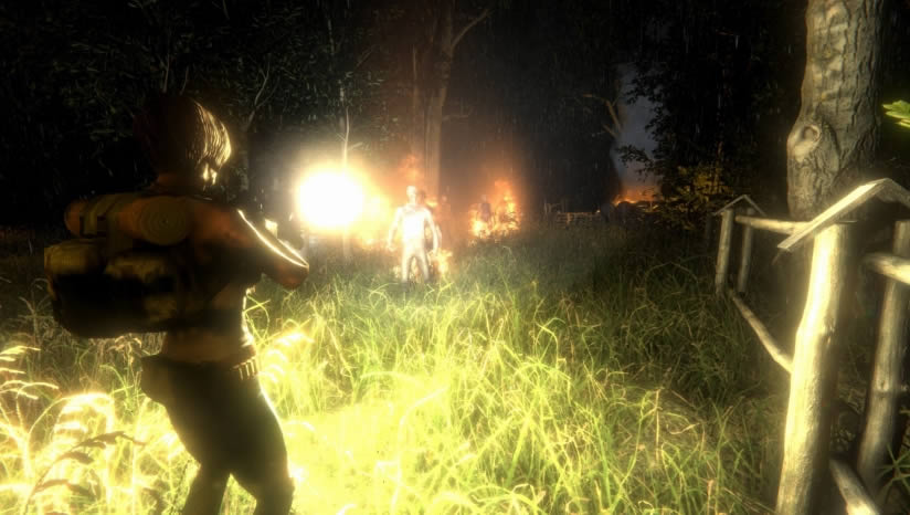 ����������ϣ������