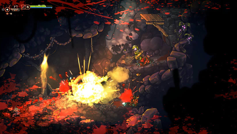 ɥʬ��Ѩ����