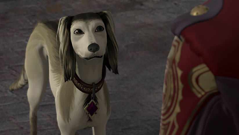 �š��������շƣ�����֮������