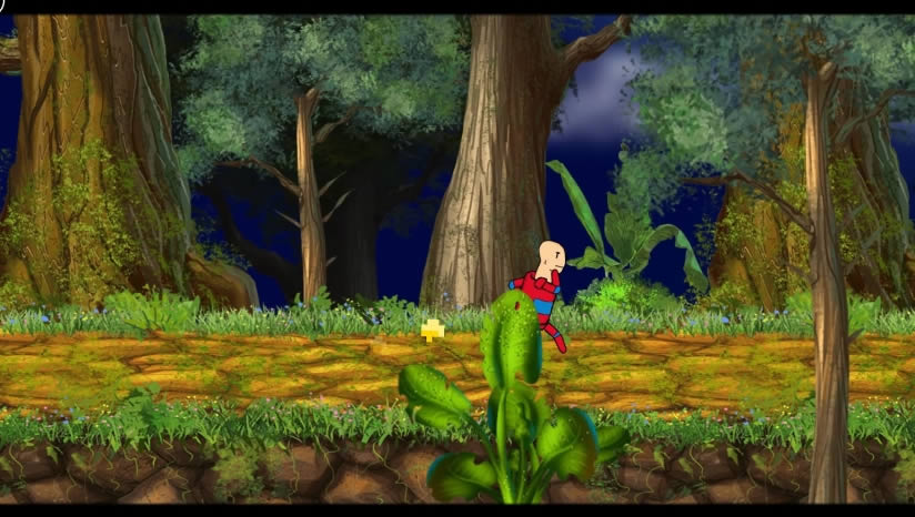 ׹����������