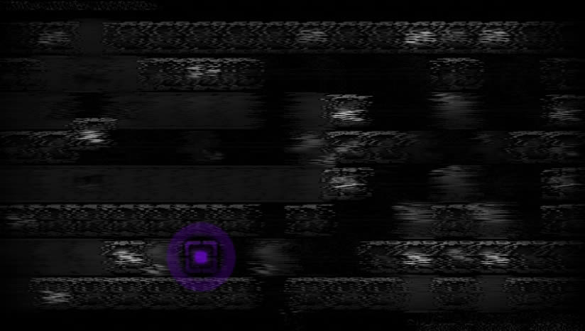 Sig.NULL����