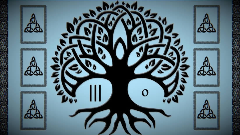 Psi��������