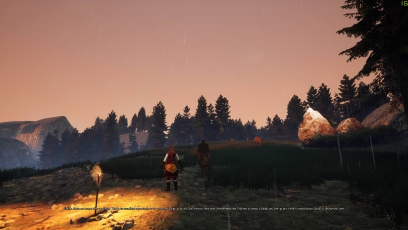 Ѫͳ��ϵ����