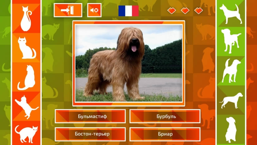 JQ������è����