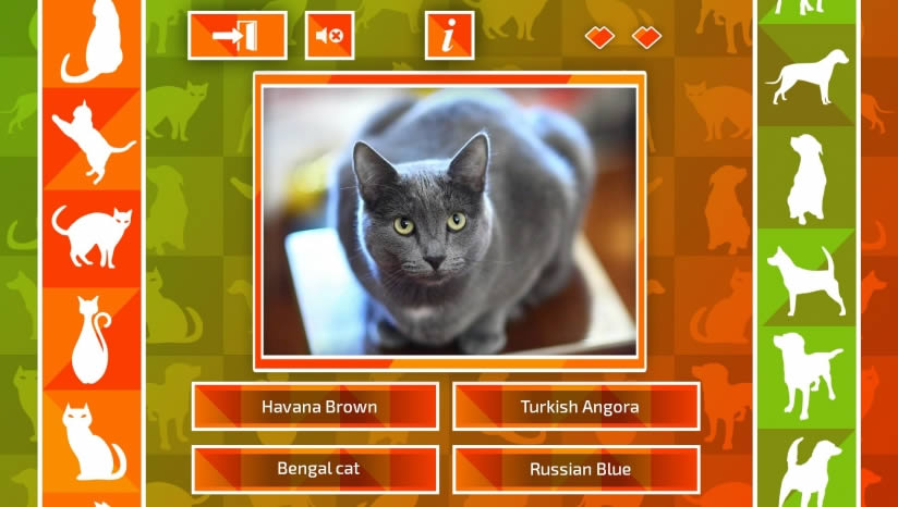 JQ������è����