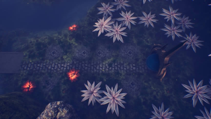 ������������