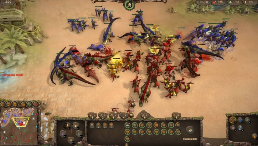 ս���ɶ�����